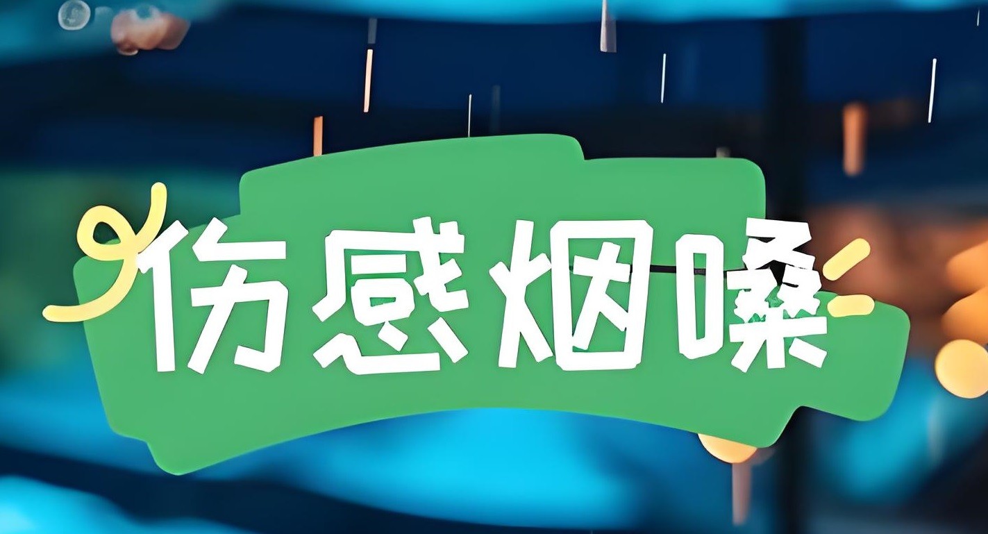 抖音烟嗓伤感车载大碟歌曲合集 MP3/WAV格式 9.1GB