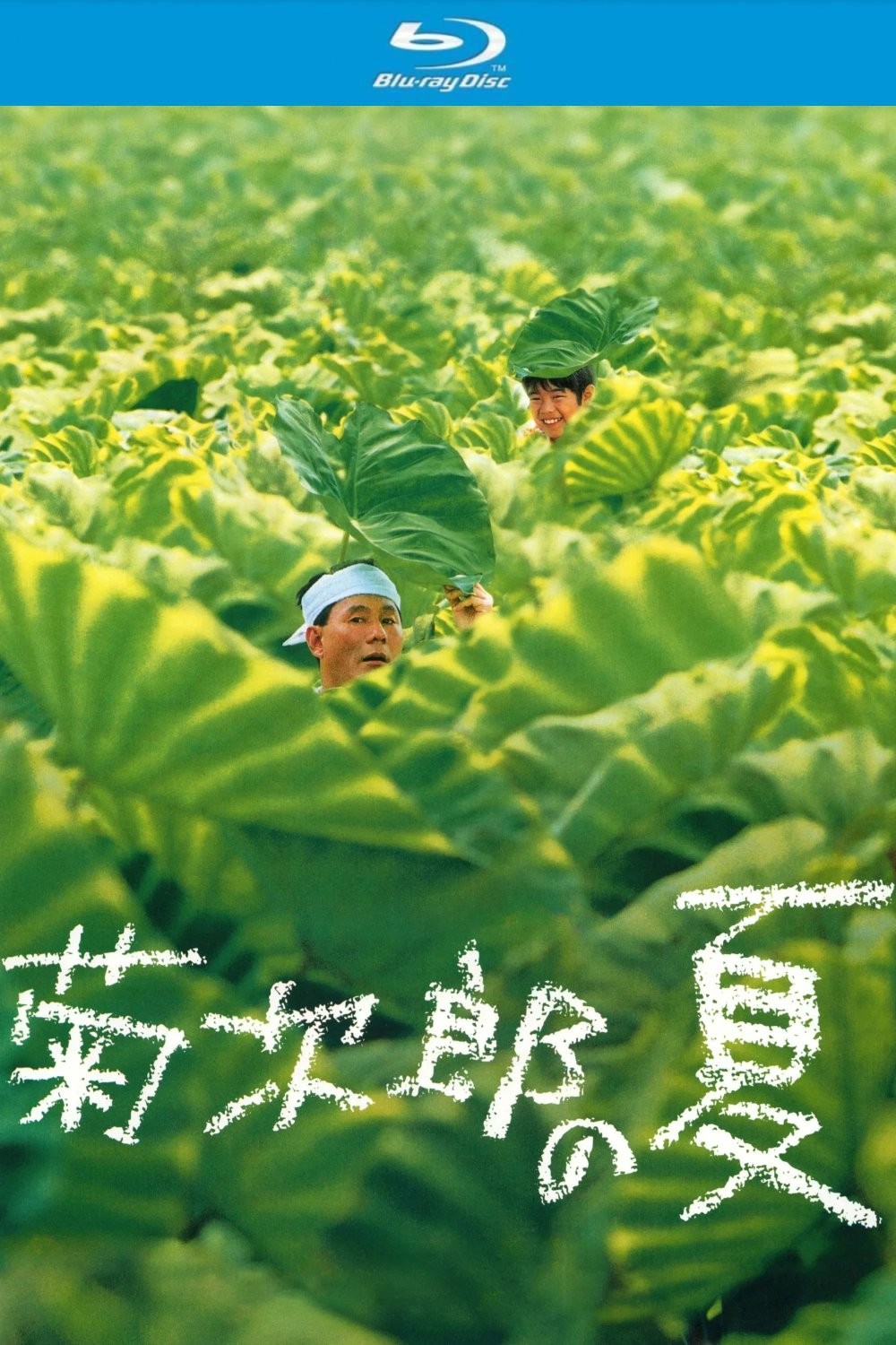 菊次郎的夏天 (1999)【蓝光原盘REMUX】【次世代国日双语】内封简繁特效字幕 [28.7G]