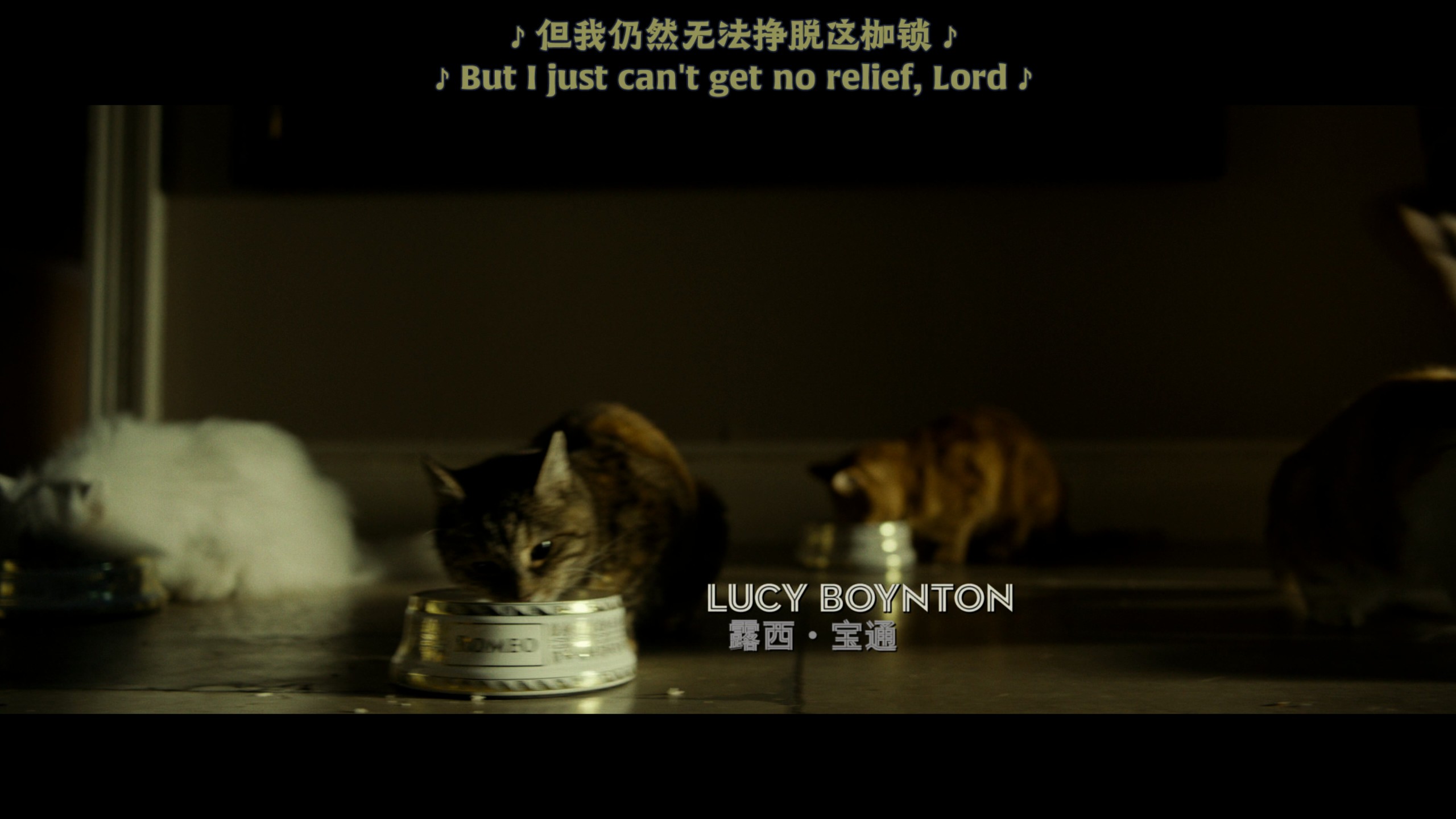 波西米亚狂想曲（2018）【4K蓝光原盘REMUX】【杜比视界&杜比全景声国英双语】内封简繁英双语特效字幕 [48.8G]