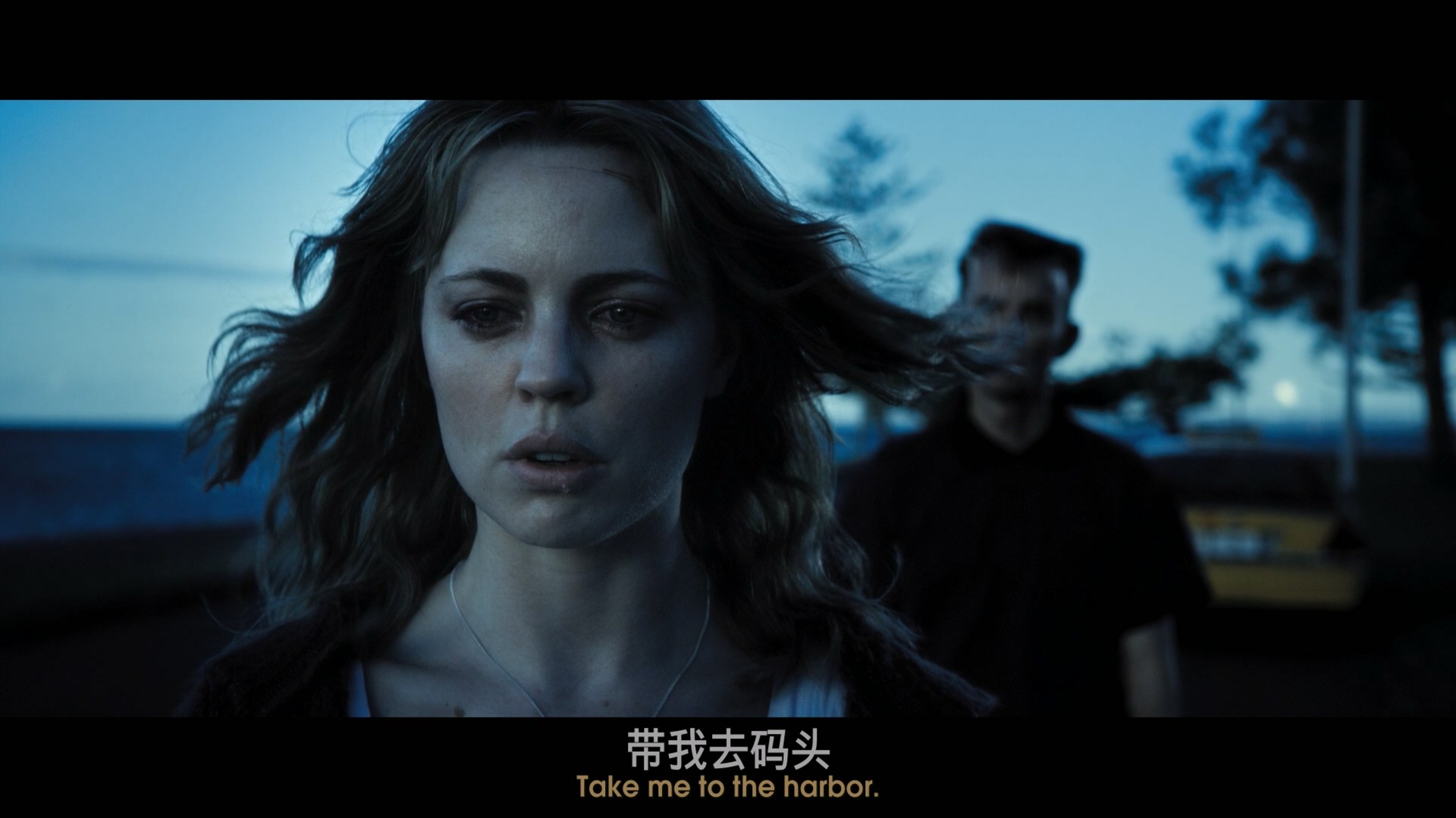 恐怖游轮 (2009) 【蓝光原盘REMUX】【杜比环绕声国英双语】内封简体简英双语特效字幕 [19.2G]