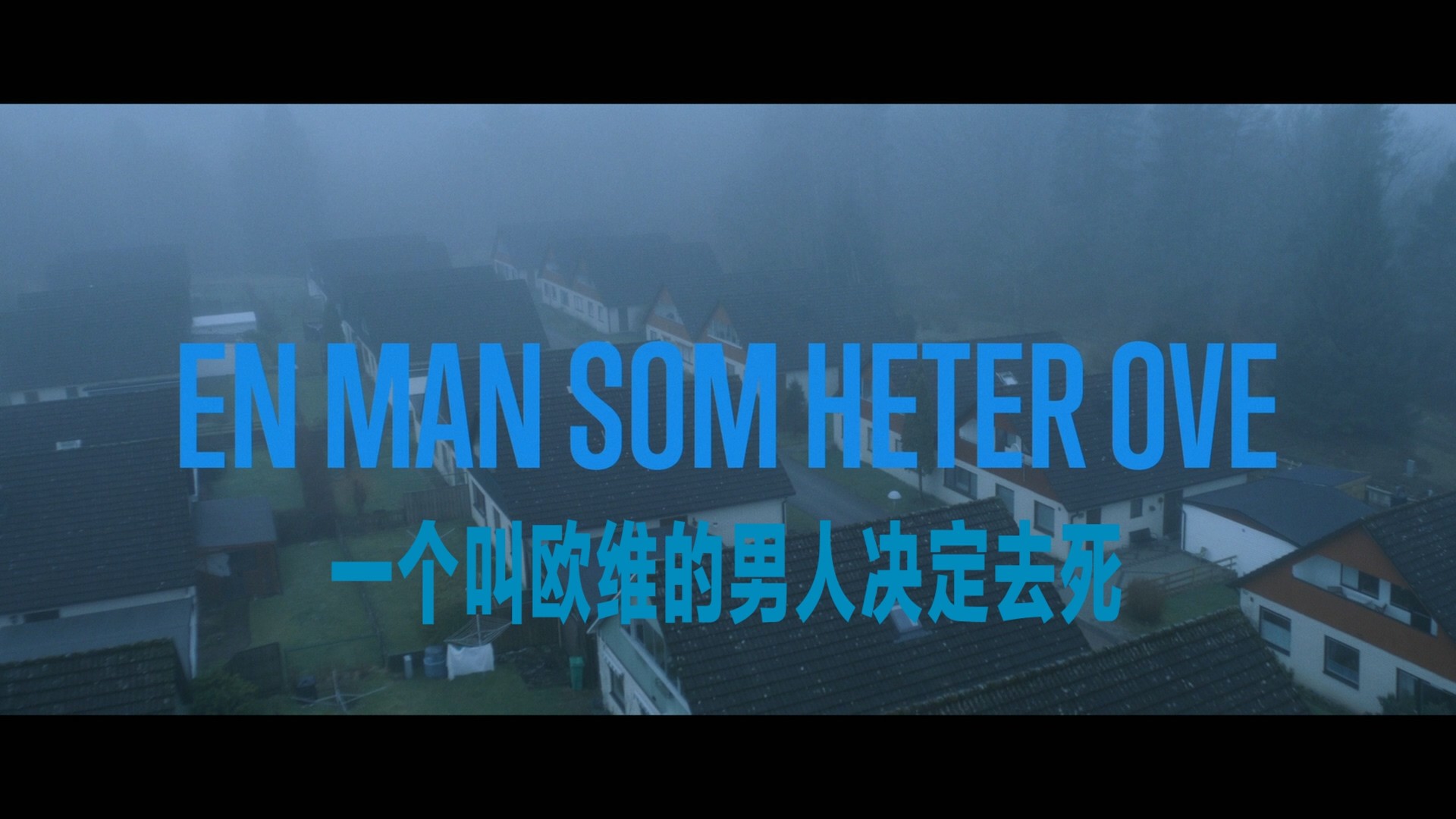 一个叫欧维的男人决定去死 (2015)【蓝光原盘REMUX】【次世代环绕声5.1】内封简体简英双语特效字幕 [30.7G]