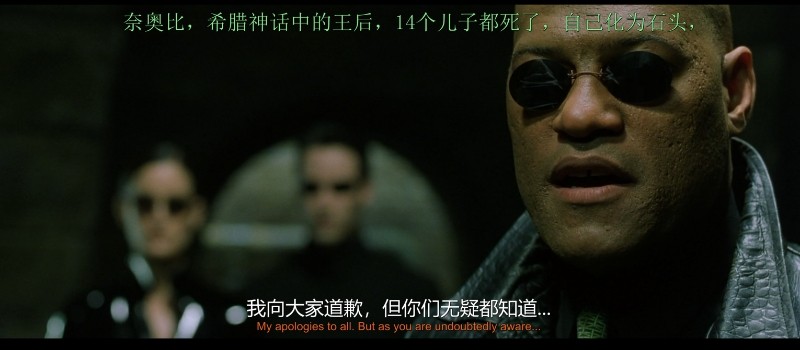 黑客帝国 (四部合集+动画)【BluRay.1080P】【高码率】【外挂简英双语特效字幕】【科幻/动作】【63.9GB】