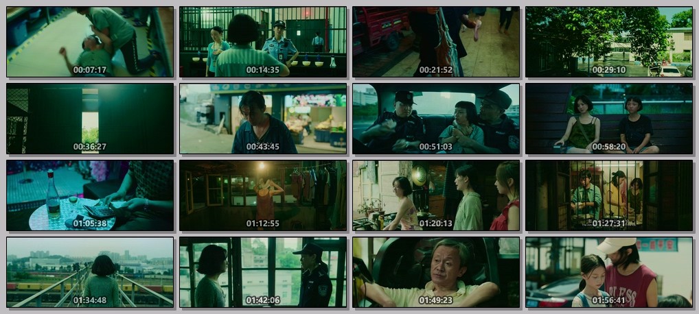 向阳·花 (2025)【4K 臻彩MAX+ & HDR Vivid 60FPS】【DTS环绕声】【内嵌简英】【14GB】【赵丽颖/兰西雅】