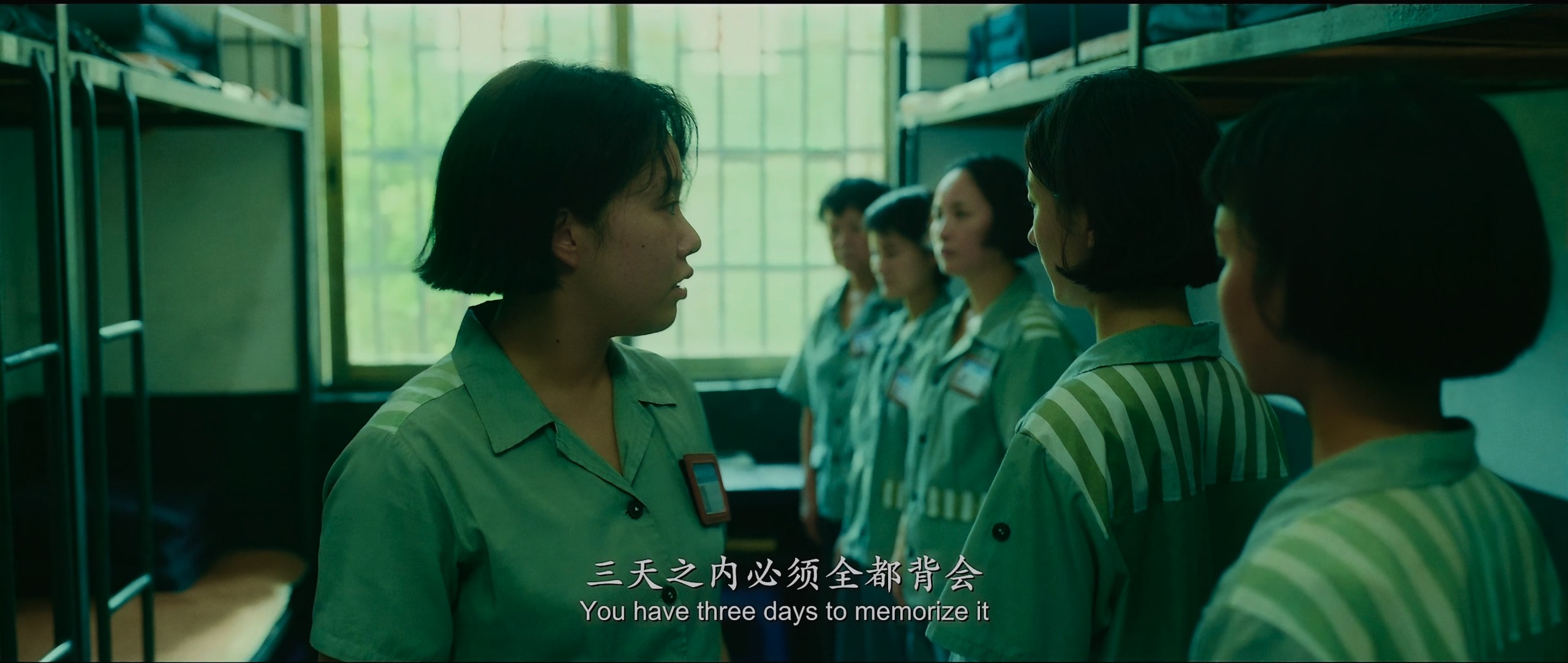 向阳·花 (2025)【4K 臻彩MAX+ & HDR Vivid 60FPS】【DTS环绕声】【内嵌简英】【14GB】【赵丽颖/兰西雅】
