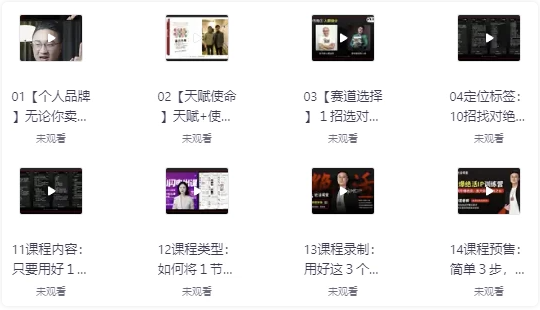 引爆绝活IP训练营,14天引爆绝活,放大你的一技之长 【3.6GB】