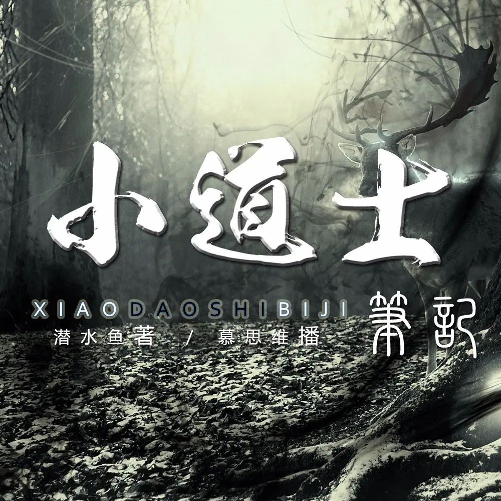 《小道士笔记》（有声小说）著：潜水鱼 播：慕思维Sir 1417集完【MP3】  [6.23G]