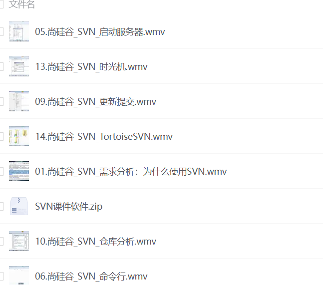 【尚硅谷】SVN实战课程【244M】