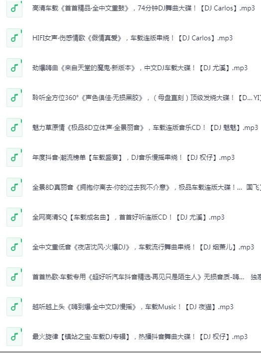 《无损音乐 高品质 车载HIFI音乐靓碟 DJ舞曲》  [2025]  [MP3/320K]  [89.3G]