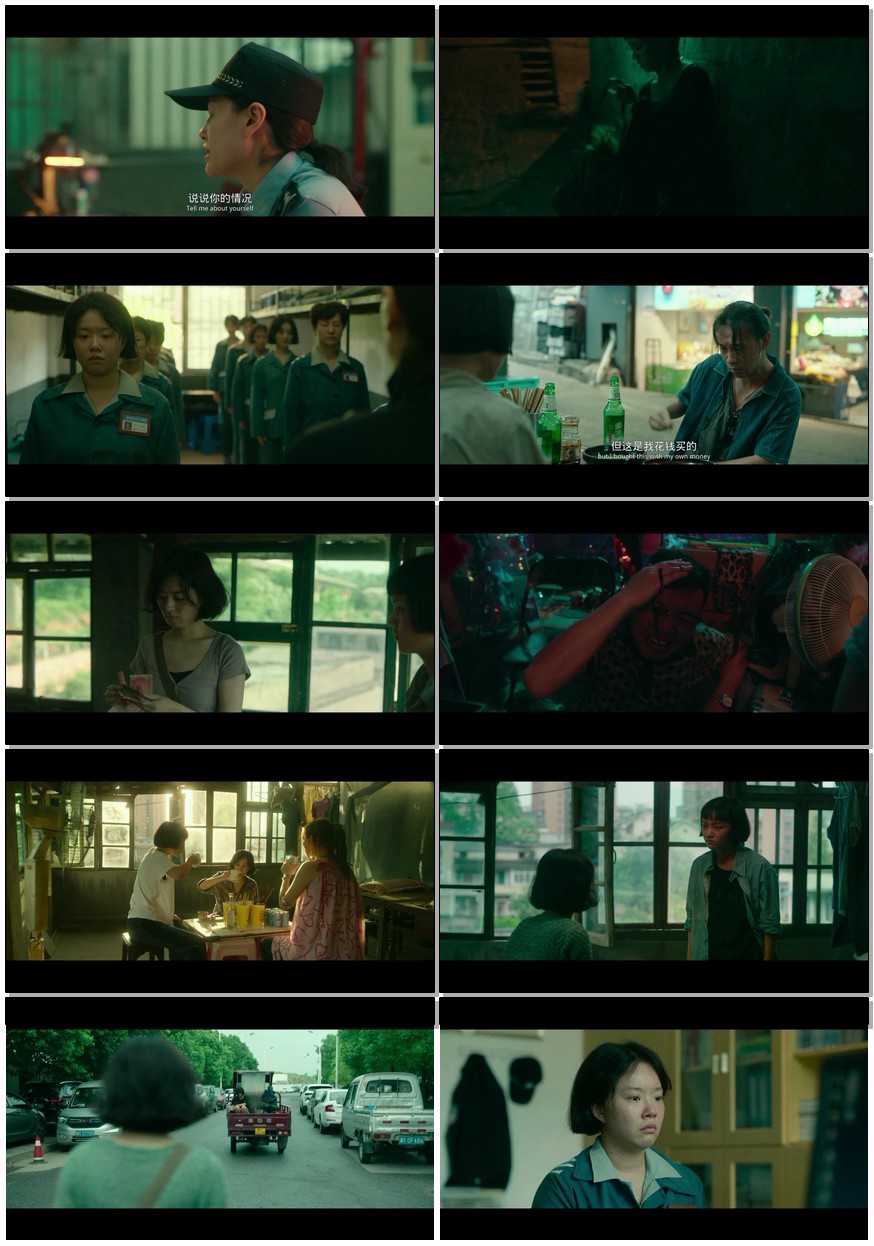          [向阳·花]         [2025年 冯小刚导演/赵丽颖大片]         [国语中字]         [1080P/6.17GB]