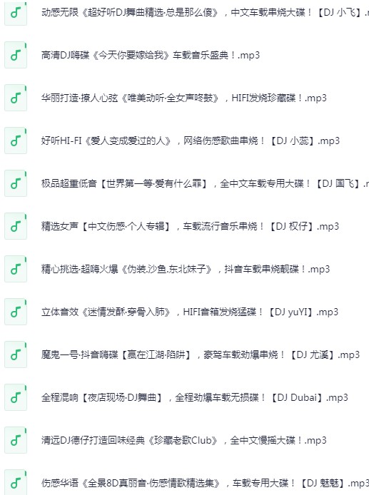 《无损音乐 高品质 车载HIFI音乐靓碟 DJ舞曲》  [2025]  [MP3/320K]  [89.3G]