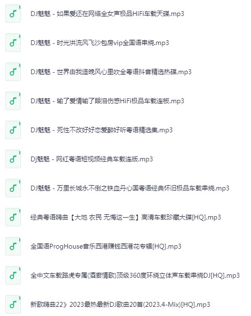 《无损音乐 高品质 车载HIFI音乐靓碟 DJ舞曲》  [2025]  [MP3/320K]  [89.3G]