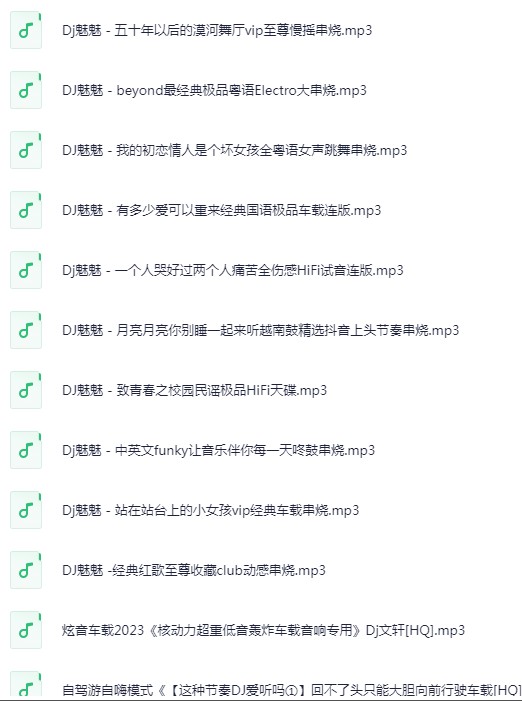 《无损音乐 高品质 车载HIFI音乐靓碟 DJ舞曲》  [2025]  [MP3/320K]  [89.3G]
