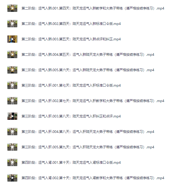 陆天龙极龄呼吸法21天养生营31集中医全集精讲课程【3GB】
