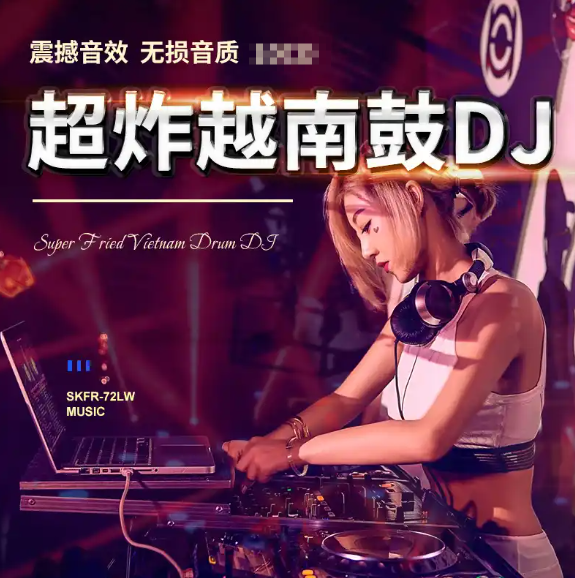 2025最新DJ电音舞曲百大热歌榜高质量越南鼓VinaHouse英文舞曲504首【wav/8.8GB】