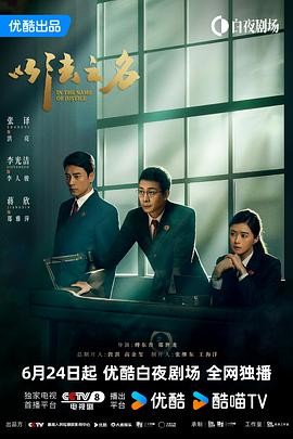 【更30集】以法之 名(2025)1080p【单集300M】国语中字