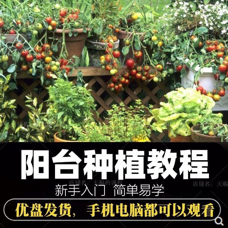 自学阳台种植蔬菜水果盆栽绿植盆景视频教程阳台科学种植技术课程2G