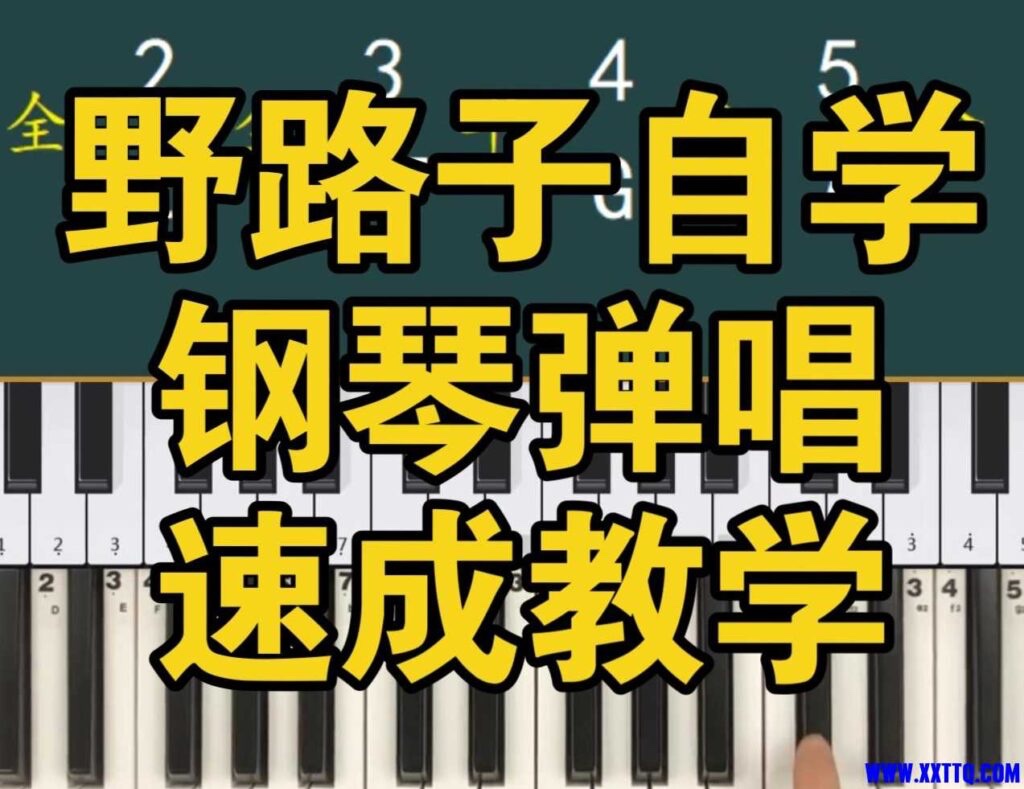 野路子《钢琴弹唱100天速成系统课》6G