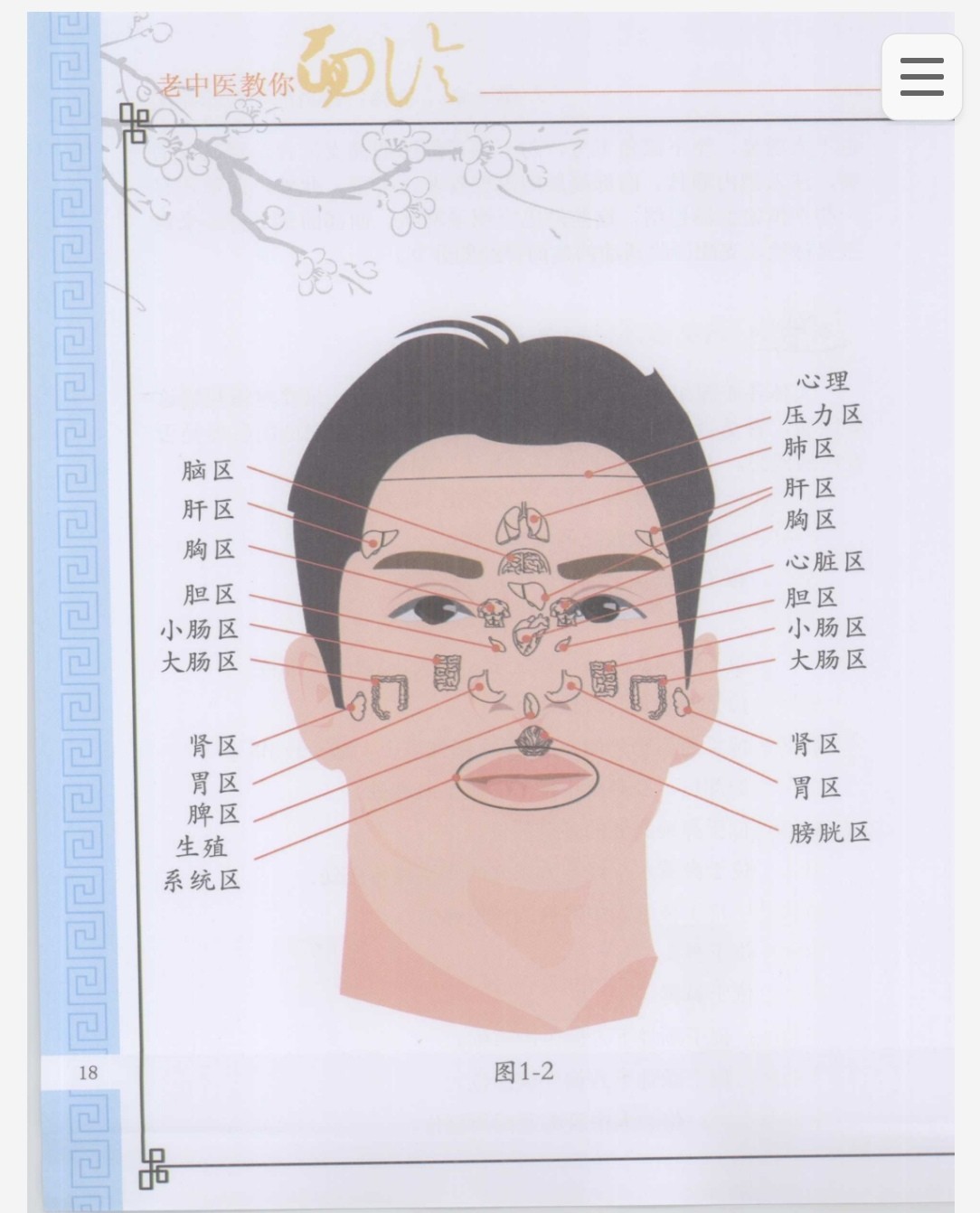 《老中医教你面诊》面部与五脏六腑关系 一眼看出病情 pdf 38.4mb