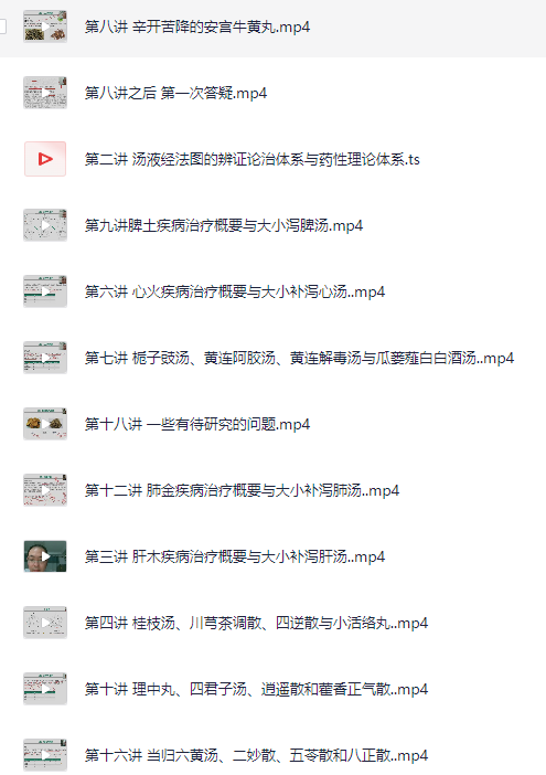 金锐汤液经法图识方解方组方视频+课件授课视频【5.5GB】