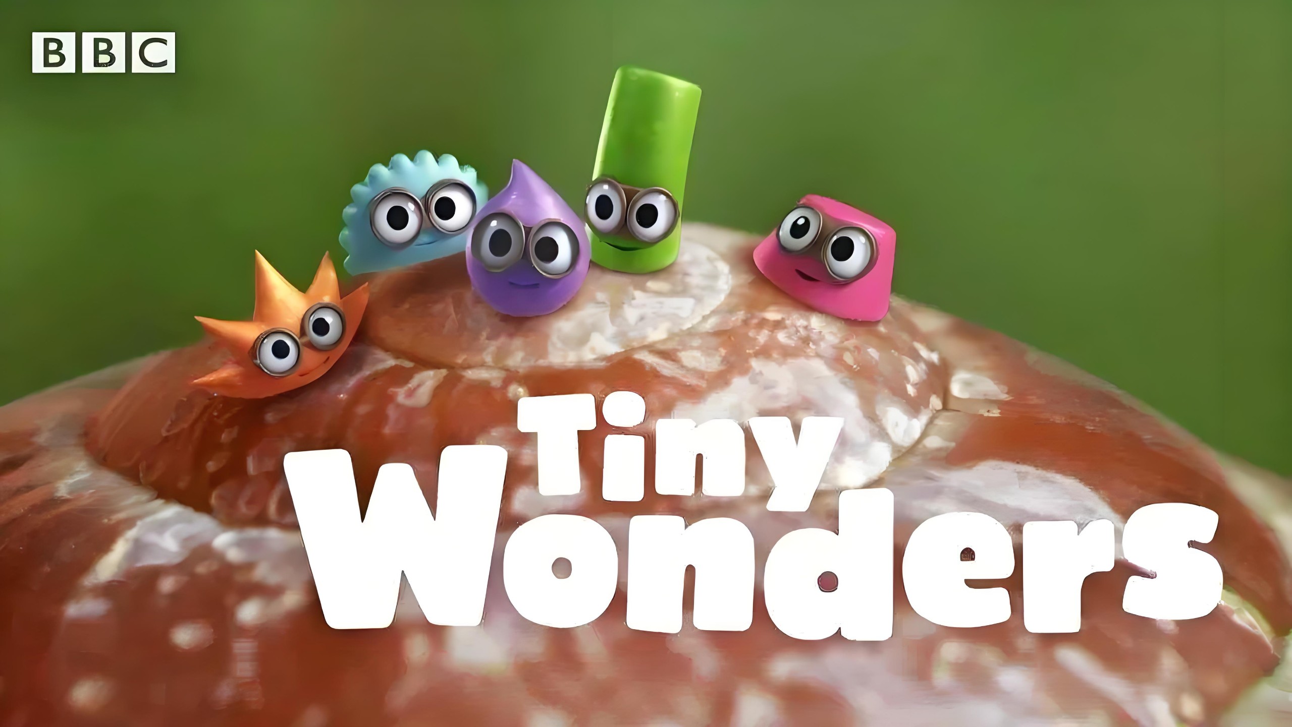 BBC少儿科普动画《小奇迹 Tiny Wonders (视频+音频) 》 2.5GB