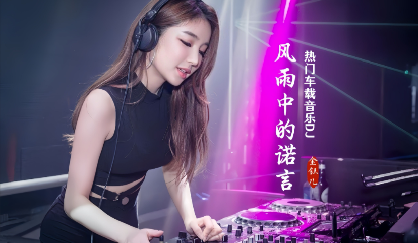 DJ《2025年车载必备326首抖音DJ嗨曲精选合集》【WAV/MP3】【11.7G】