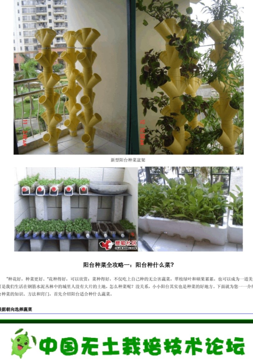 阳台种植课程|蔬菜 水果 绿植盆栽教程(家庭园艺+免费视频+种植技术)【1.75GB】