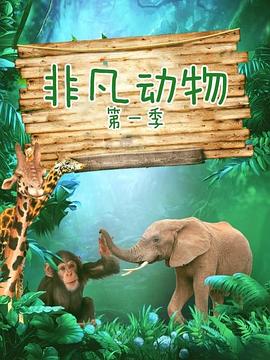 非凡动物 第一季 extraordinary animals Season 1