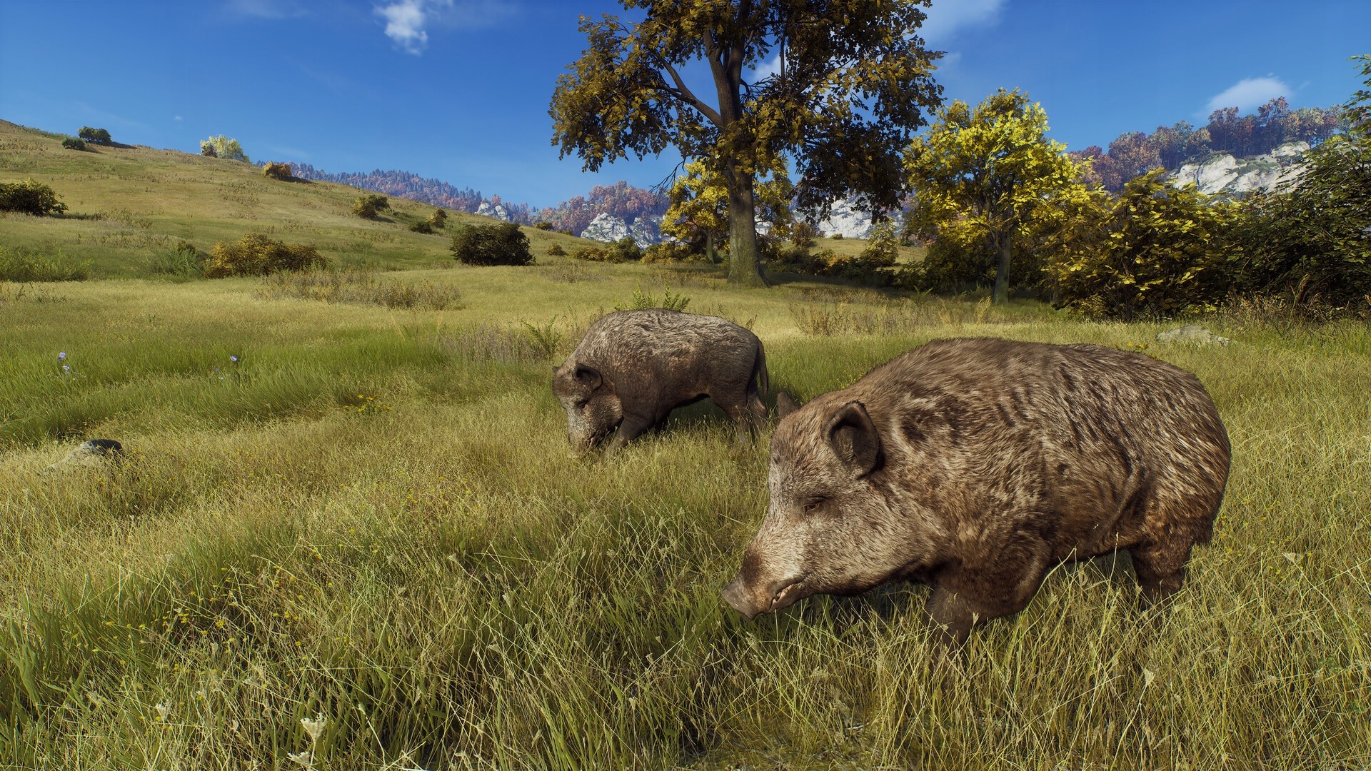 【PC】狩猎之道 (Way of the Hunter)v1.27.2 官中 【19 GB】