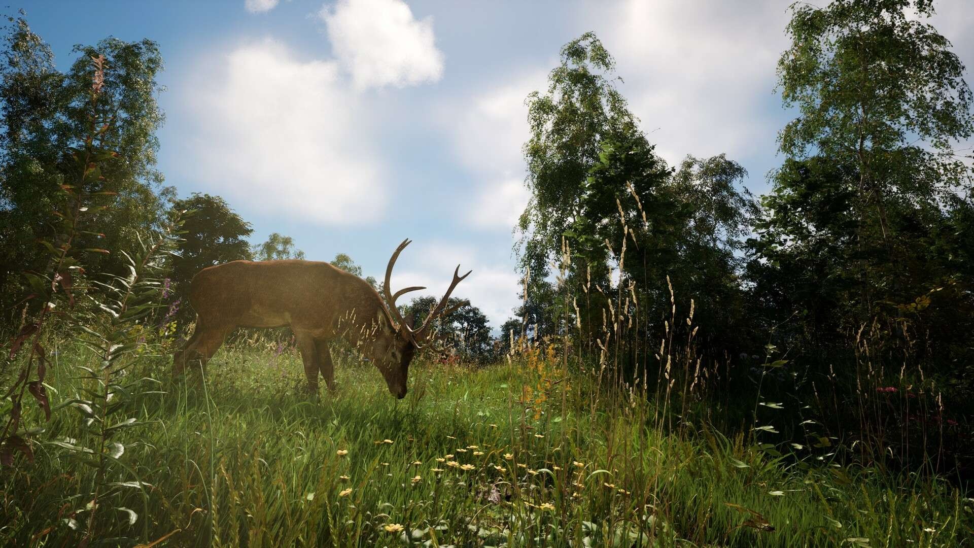 【PC】恐惧地带v1.3.9.1 单独联机补丁 解压即玩【22.6GB GB】