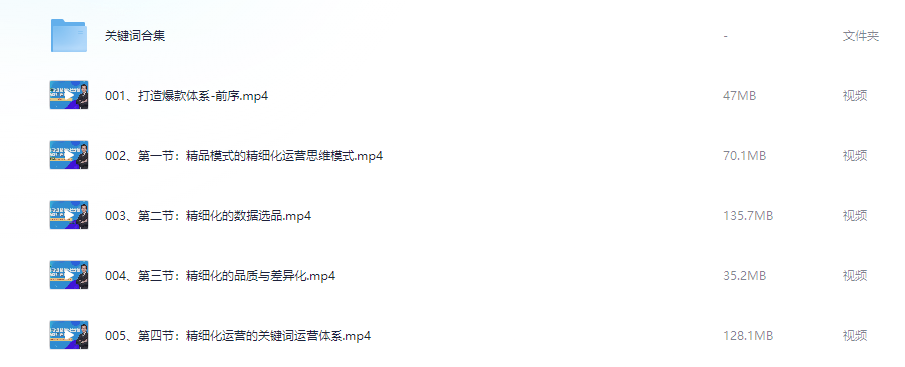 亚马逊精品运营体系课，打造高利润店铺的核心方法与实操【511.5MB】