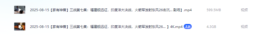 【家有神兽】【充电专属视频】三战第七集：福建舰远征，印度洋大决战（含4K）【4.9GB】