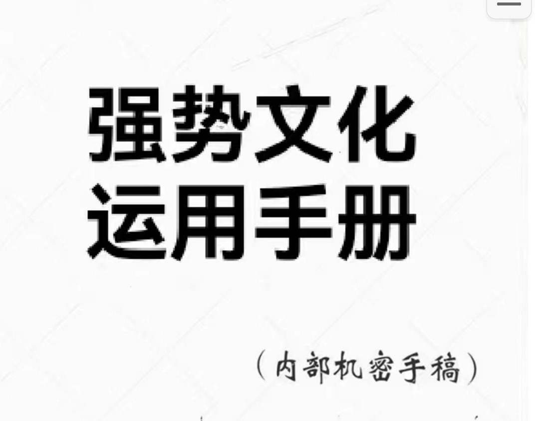 强势文化运用手册pdf 87.5mb