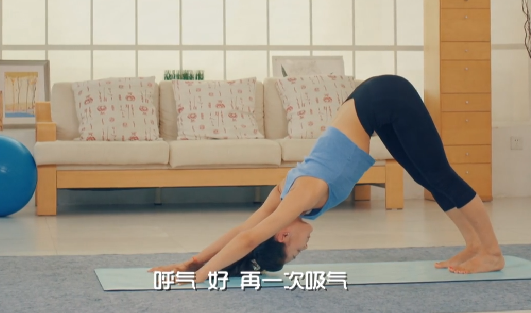 盼盼老师瑜伽课｜极致体式+呼吸调节（零基础入门+家庭健身+身心平衡训练）【52.2GB】