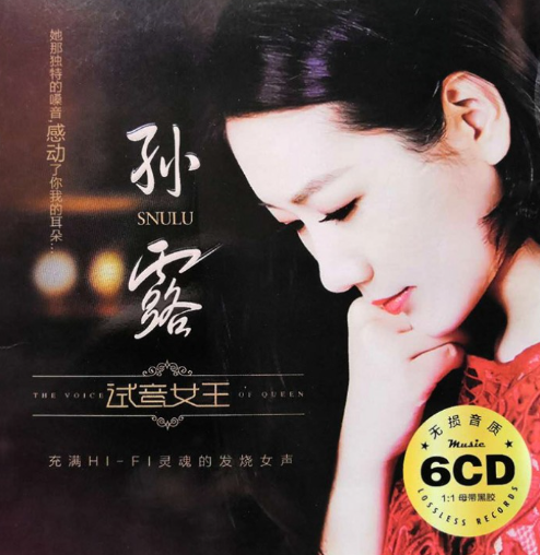 孙露10年经典348首无损hifi合集，带目录HIRes+wav【18.2GB】
