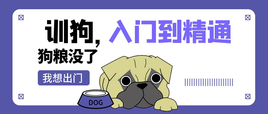 训狗初级中级高级 入门到精通视频课程【9GB/MP4】