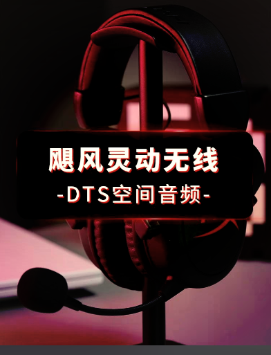 【顶级音质】DTS-HD试音碟合集，5.1声道极致体验！【DTS/5.4GB】