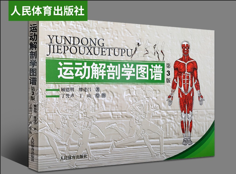 运动解剖学图谱（第3版）肌肉塑造教程书运动生理学医学书籍