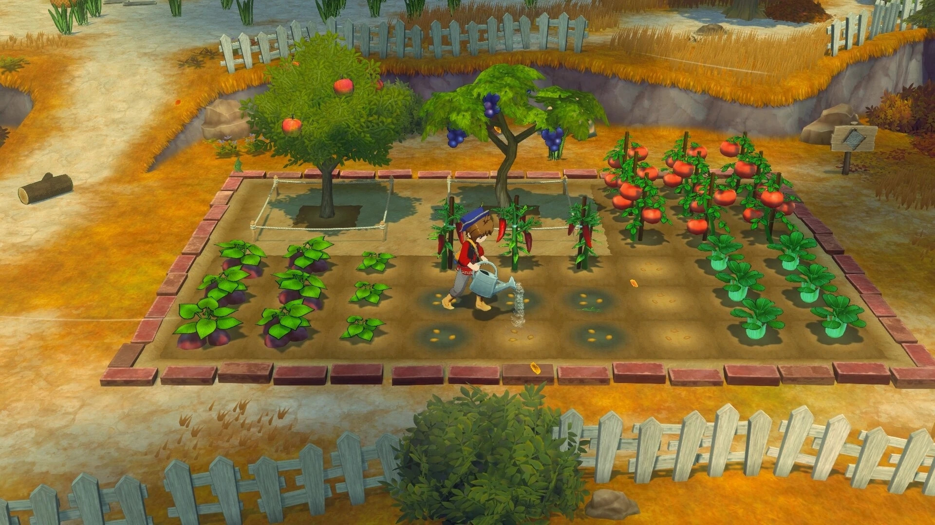 PC《牧场物语 来吧！风之繁华集市》 Build.19408688【5.21GB】