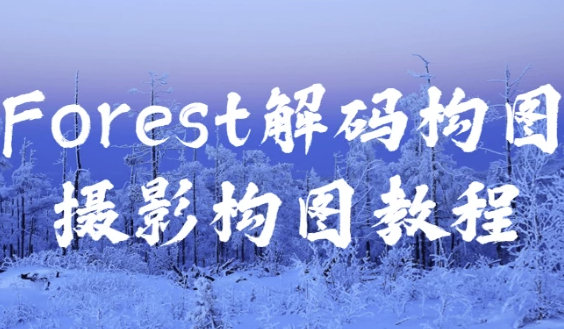 Forest解码构图摄影构图教程 【647MB】