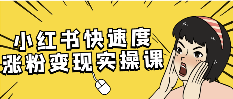 小红书快速度涨粉变现实操课 【4.5GB】