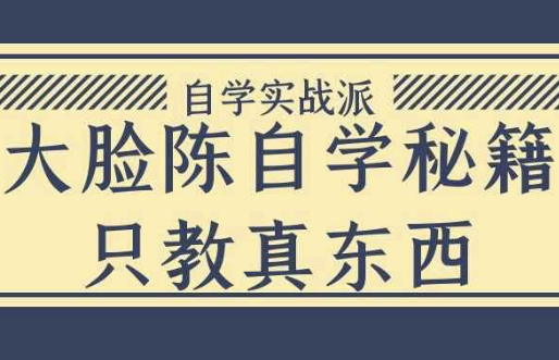 大脸陈自学秘籍只教真东西 【2.2GB】
