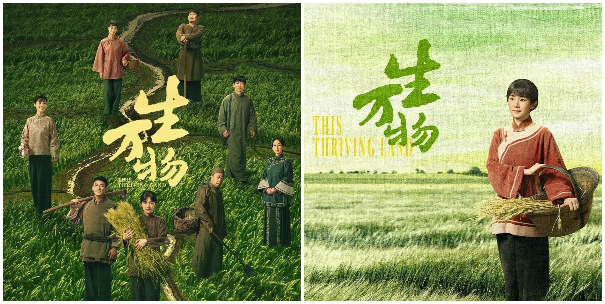 《生万物》双版合集（多人有声剧）主播：一路听天下&人文读书声 450集完【M4A】 [1.45G]