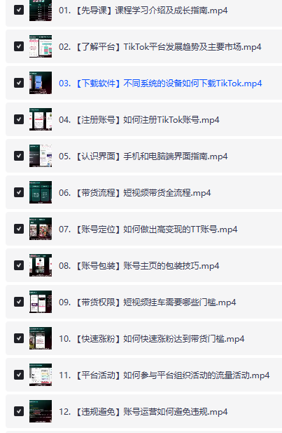 【价值5980】交个朋友-2025跨境创富实战营+TikTok达人运营课程+跨境直播带货 【4.8G】