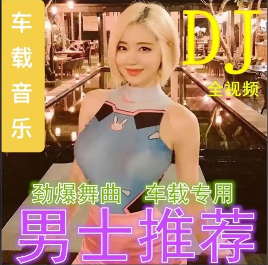 【付费购买】抖音热卖车载音乐+车载MV视频 都是肤白貌美大长腿【mp3+mp4格式/40.7GB】