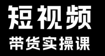 短视频带货系统课【11.8GB/MP4】