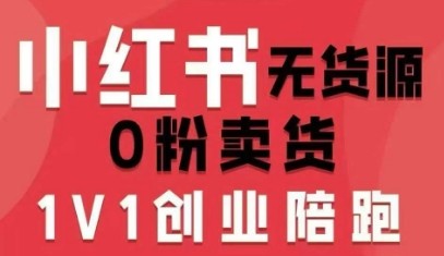 爱野佩佩小红书无货源0粉电商课,开店准备、选品策略、笔记撰写、视频剪辑、数据分析、账号打造、资料文档【3.8GB/MP4】