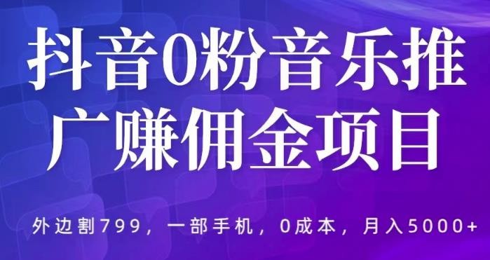 抖音0粉丝接音乐推广任务！外边割799的课程【266.8GB】