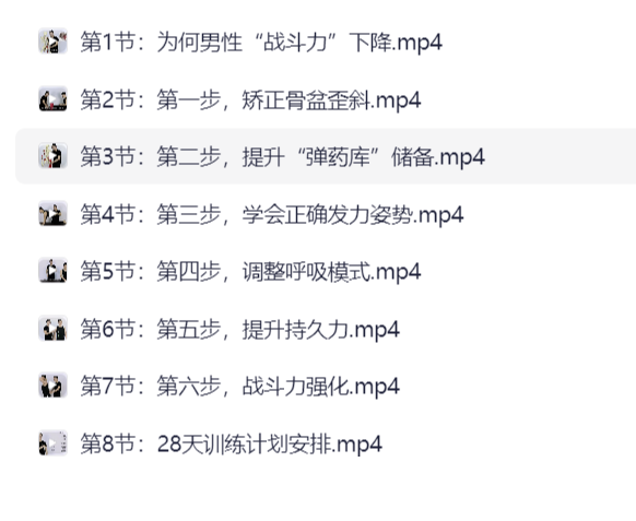 《男性“战斗力”提升必修课 28天系统训练》【560MB】