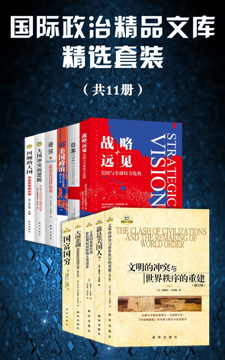 国际政治精品文库精选套装（套装11册） epub【13.7MB】