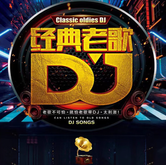 【时长224分钟64首DJ合集无损品质带歌词】“不怕新歌学不会，就怕老歌带DJ”【FLAC/1.8G】